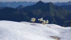 Randonnées d'hiver à Gstaad
